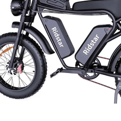 Ridstar Q20 Pro Electric Cargo Bike