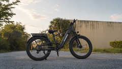 Samebike-STORM Mountain Electric Bike
