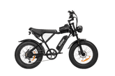 Ridstar Q20 Electric Bike - Pogo Cycles