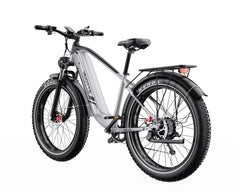 DUOTTS F26 Lite Electric bike on a white background - Pogo Cycles @ Ireland