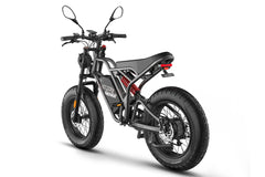 Fafrees F20 Ultra HS Electric Bike