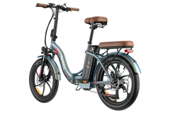 FAFREES F20 Pro City Electric Bike