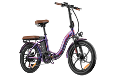 FAFREES F20 Pro City Electric Bike