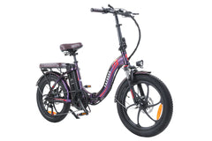 FAFREES F20 Pro City Electric Bike