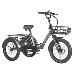 Fafrees F20 Mate Electric Cargo Tricycle