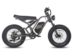 Fafrees F20 Ultra Gunmetal Black Electric Bike - Pogo Cycles, Ireland