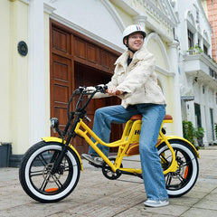 Hidoes C8 Fat Tire Electric Bike - Pogo Cycles