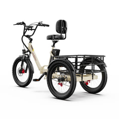 OneSport OT30 Pro Electric Cargo Tricycle