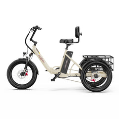 OneSport OT30 Pro Electric Cargo Tricycle