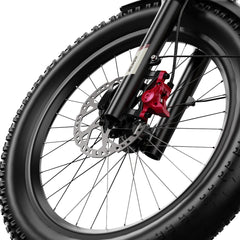 OneSport OT30 Pro Electric Cargo Tricycle