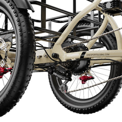 OneSport OT30 Pro Electric Cargo Tricycle