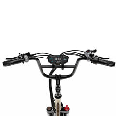 OneSport OT30 Pro Electric Cargo Tricycle