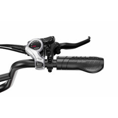 OneSport OT30 Pro Electric Cargo Tricycle