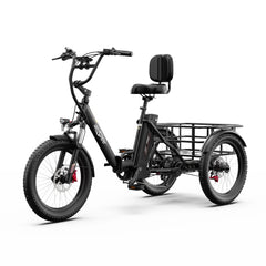 OneSport OT30 Pro Electric Cargo Tricycle