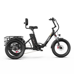 OneSport OT30 Pro Electric Cargo Tricycle