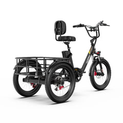 OneSport OT30 Pro Electric Cargo Tricycle