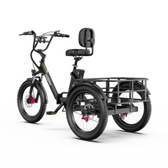 OneSport OT30 Pro Electric Cargo Tricycle
