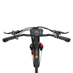 OneSport OT30 Pro Electric Cargo Tricycle