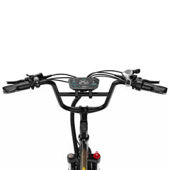 OneSport OT30 Pro Electric Cargo Tricycle