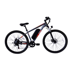 PVY M29 Commuter Electric Bike