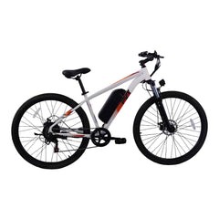 PVY M29 Commuter Electric Bike