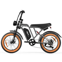 PVY A20 Electric Bike