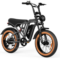 PVY A20 Electric Bike