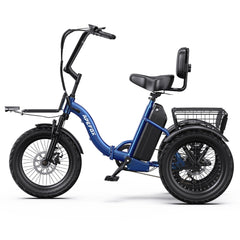 APEFOX RH30 Cargo Tricycle Bike