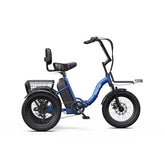 APEFOX RH30 Cargo Tricycle Bike