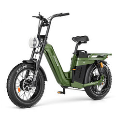 TESWAY X5 AWD Step-Thru Dual Motor Electric Bike