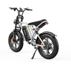 VARUN X-Plorer All-Terrain Electric Bike
