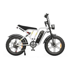 VARUN X-Plorer All-Terrain Electric Bike