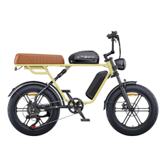 ENGWE M1 Dual Passenger Electric Bike