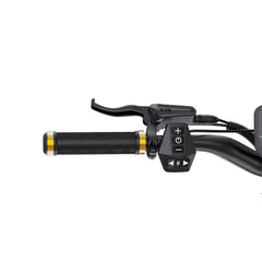OOTD S30 Electric Scooter