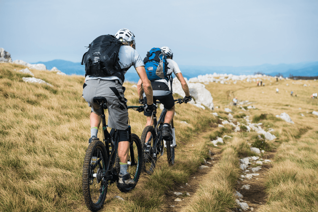 Electric mountain bikes rear view, two riders cycling on grassy trail in open landscape