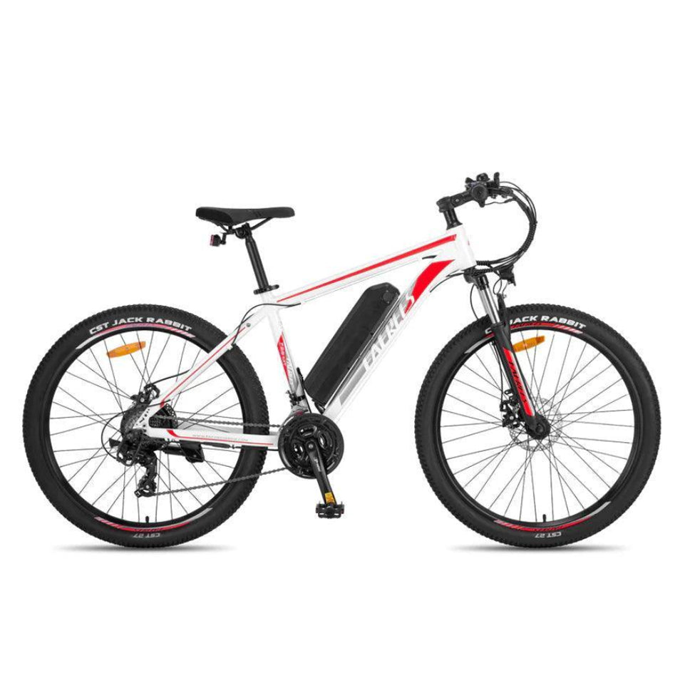 Fafrees F28 MT Mountain Electric Bike