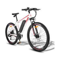 Fafrees F28 MT Mountain Electric Bike - Pogo Cycles