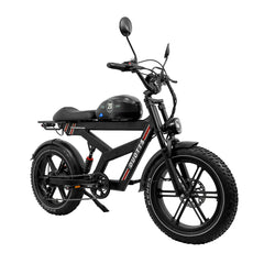 DUOTTS F20 Upgraded Electric Bike