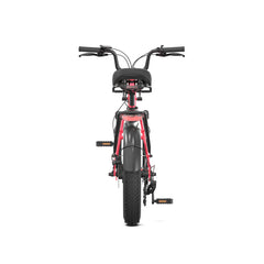 PVY LS20 Electric Bike