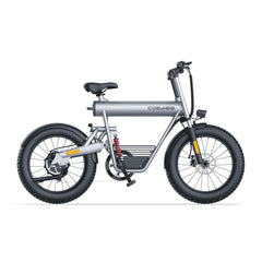 Coswheel T20 All Terrain Cargo Elcykel