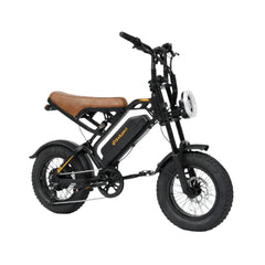 Bodywel M16 Fat Tire Electric Bike