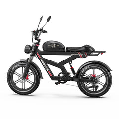 DUOTTS F20 Upgraded Electric Bike