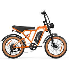 PVY A20 Electric Bike