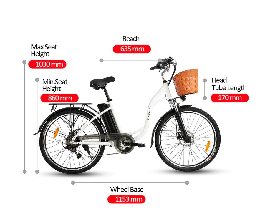 DYU C6 Upgraded Electric Bike - Pogo Cycles