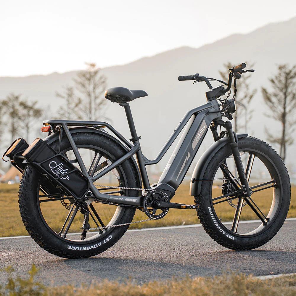 Fiido Titan Robust Cargo Electric Bike - Pogo Cycles