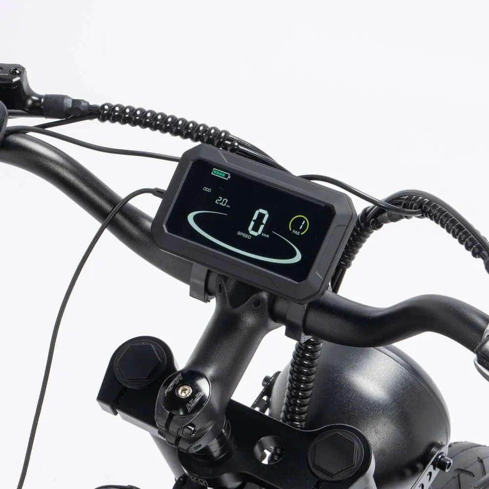 Ridstar Q20 Pro Electric Bike - UK - Pogo Cycles