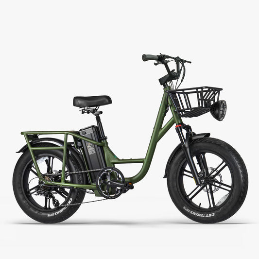 FIIDO T1 pro Electric Cargo Bike v2 2023-utgåvan